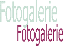 Fotogalerie